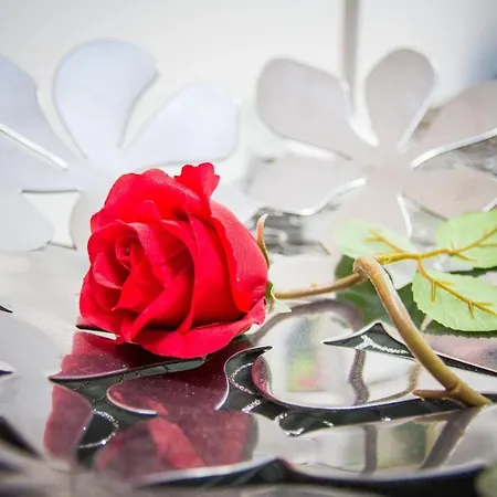 Garoed Πλάγια Μπλάνκα