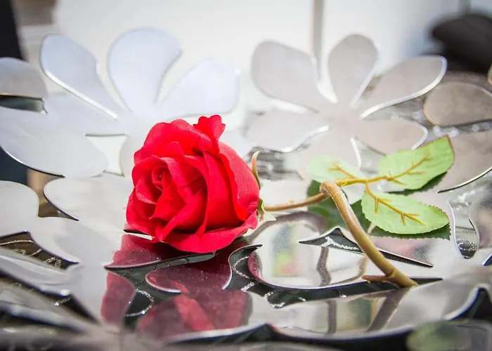 Garoed Коста Бланка